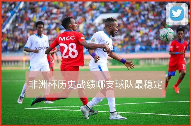 非洲杯历史战绩哪支球队最稳定