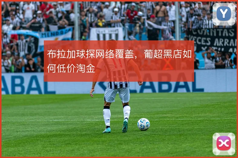 布拉加球探网络覆盖,葡超黑店如何低价淘金
